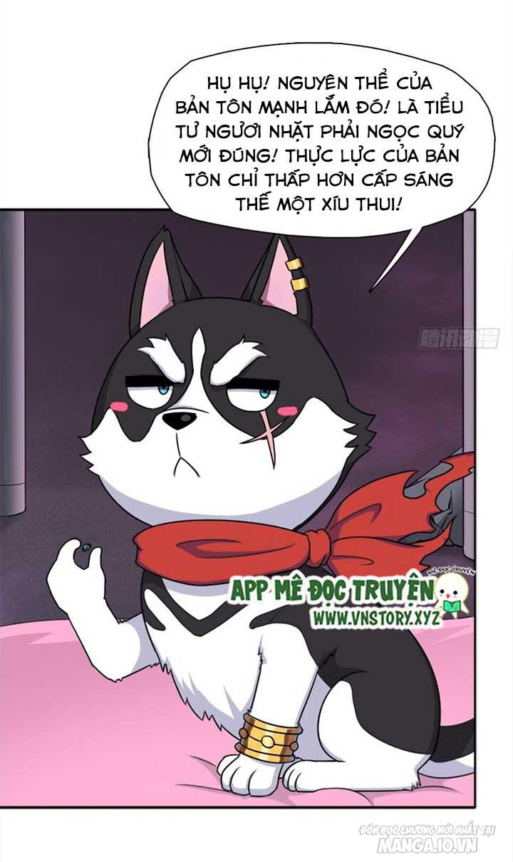 Cứu Thế Giới Đi Ông Chú Chapter 24 - Trang 2