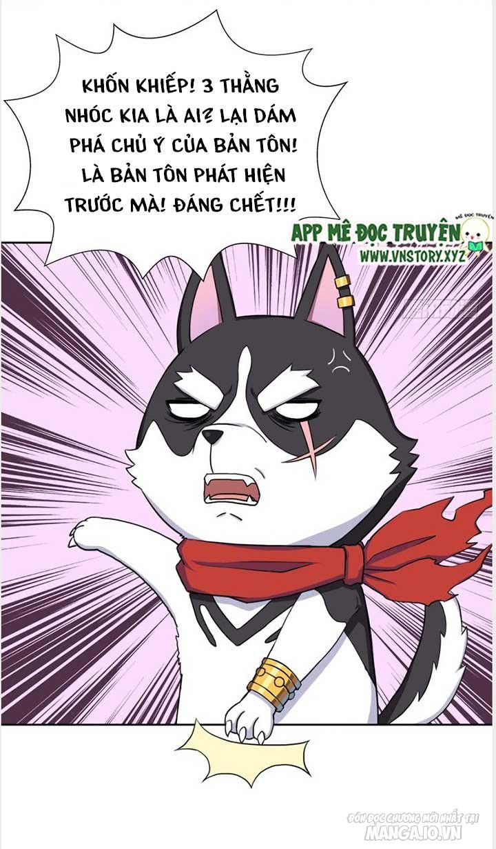 Cứu Thế Giới Đi Ông Chú Chapter 26 - Trang 2