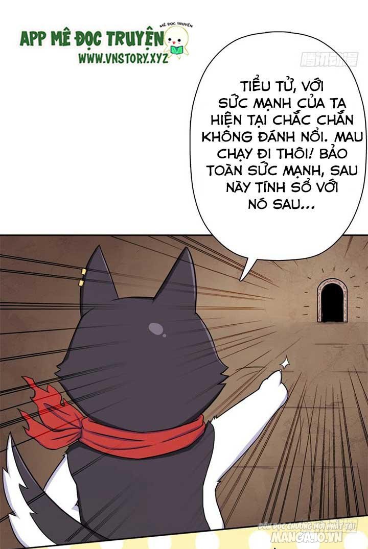 Cứu Thế Giới Đi Ông Chú Chapter 28 - Trang 2