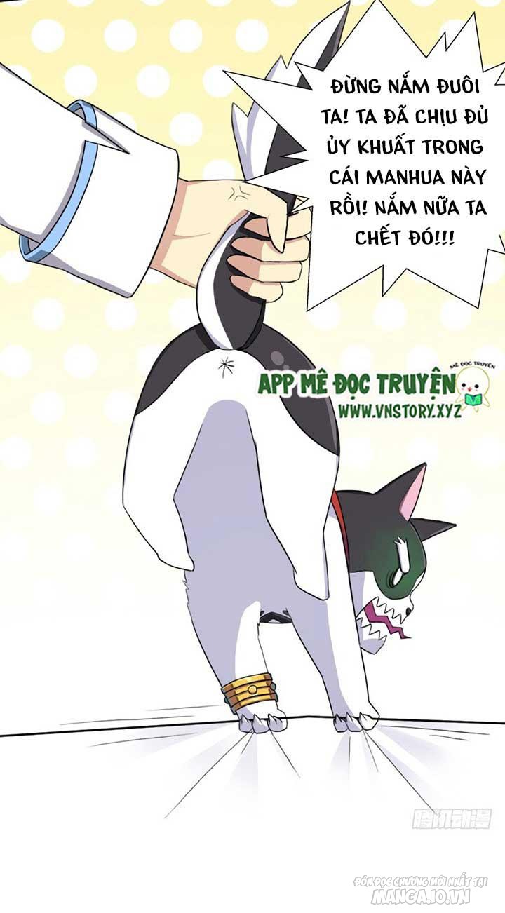 Cứu Thế Giới Đi Ông Chú Chapter 28 - Trang 2