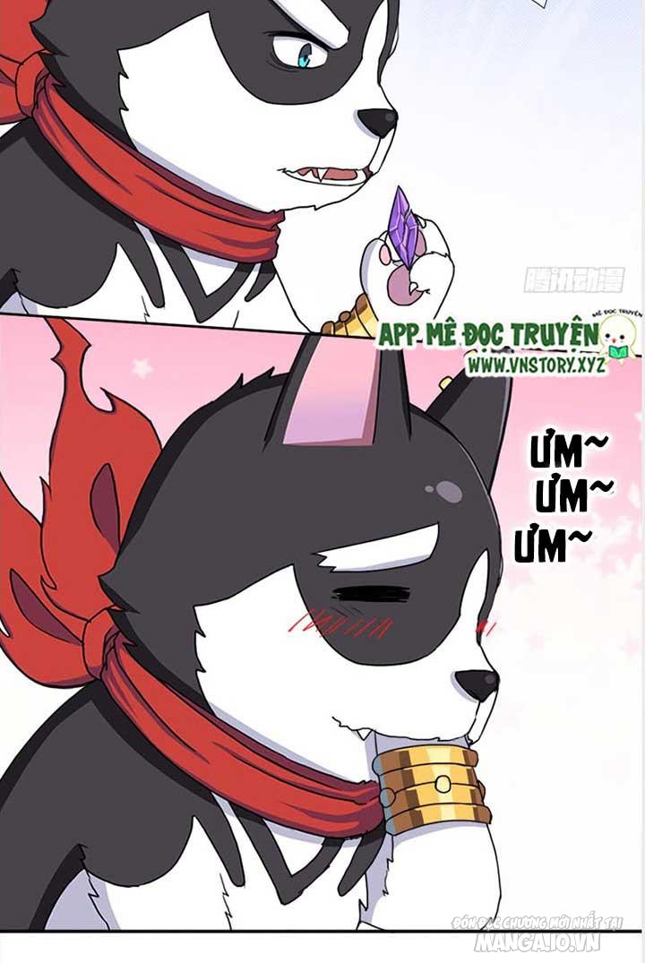 Cứu Thế Giới Đi Ông Chú Chapter 30 - Trang 2