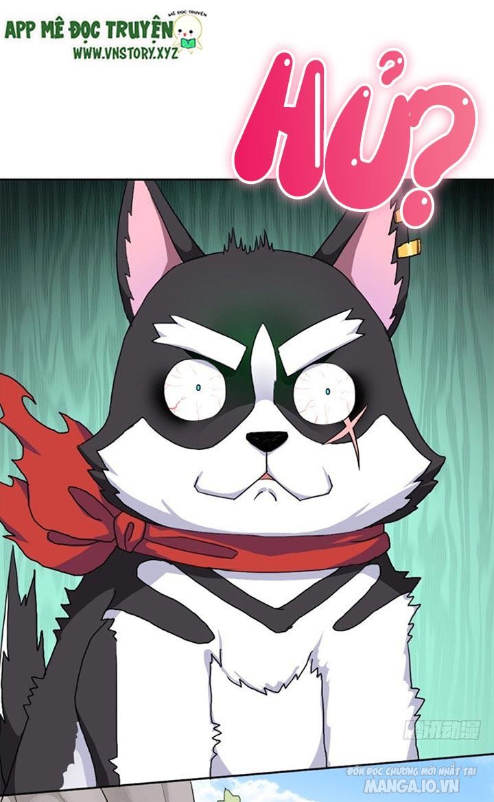 Cứu Thế Giới Đi Ông Chú Chapter 40 - Trang 2