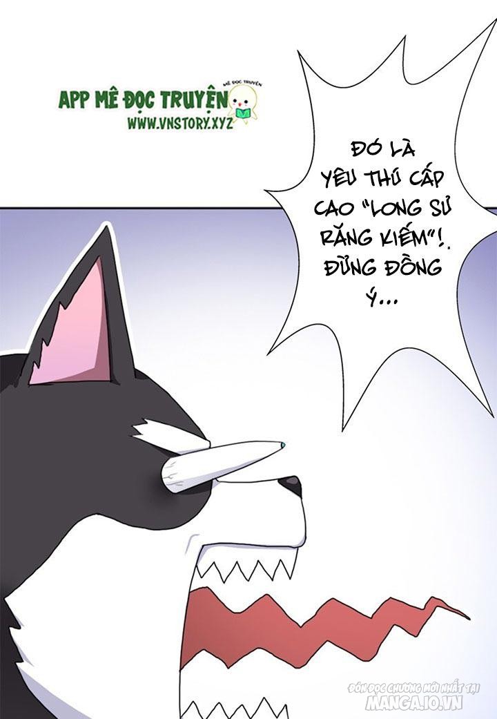 Cứu Thế Giới Đi Ông Chú Chapter 40 - Trang 2