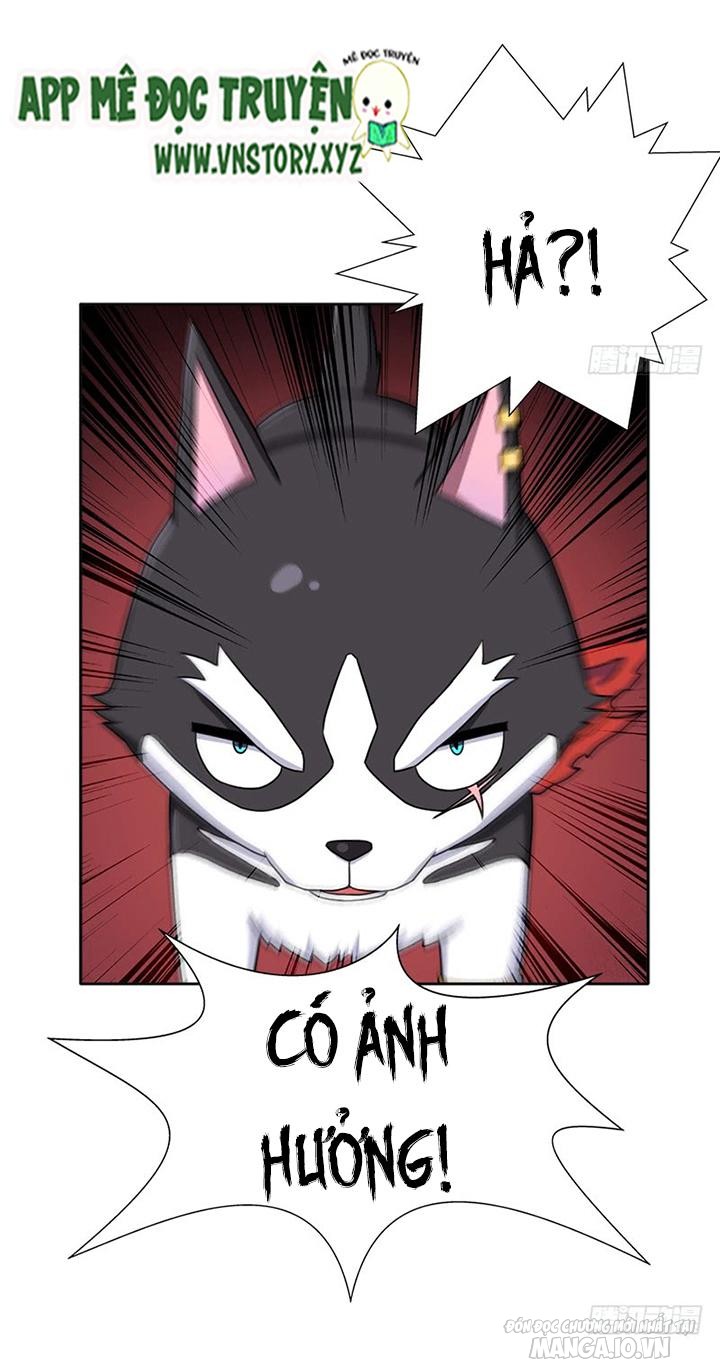 Cứu Thế Giới Đi Ông Chú Chapter 41 - Trang 2