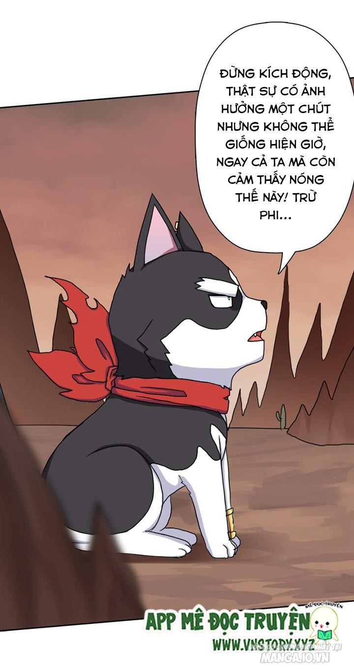 Cứu Thế Giới Đi Ông Chú Chapter 41 - Trang 2