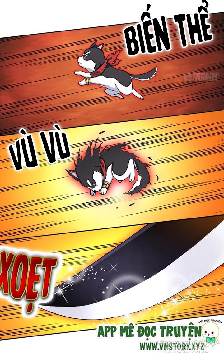 Cứu Thế Giới Đi Ông Chú Chapter 41 - Trang 2