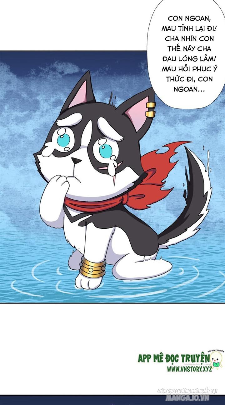 Cứu Thế Giới Đi Ông Chú Chapter 43 - Trang 2