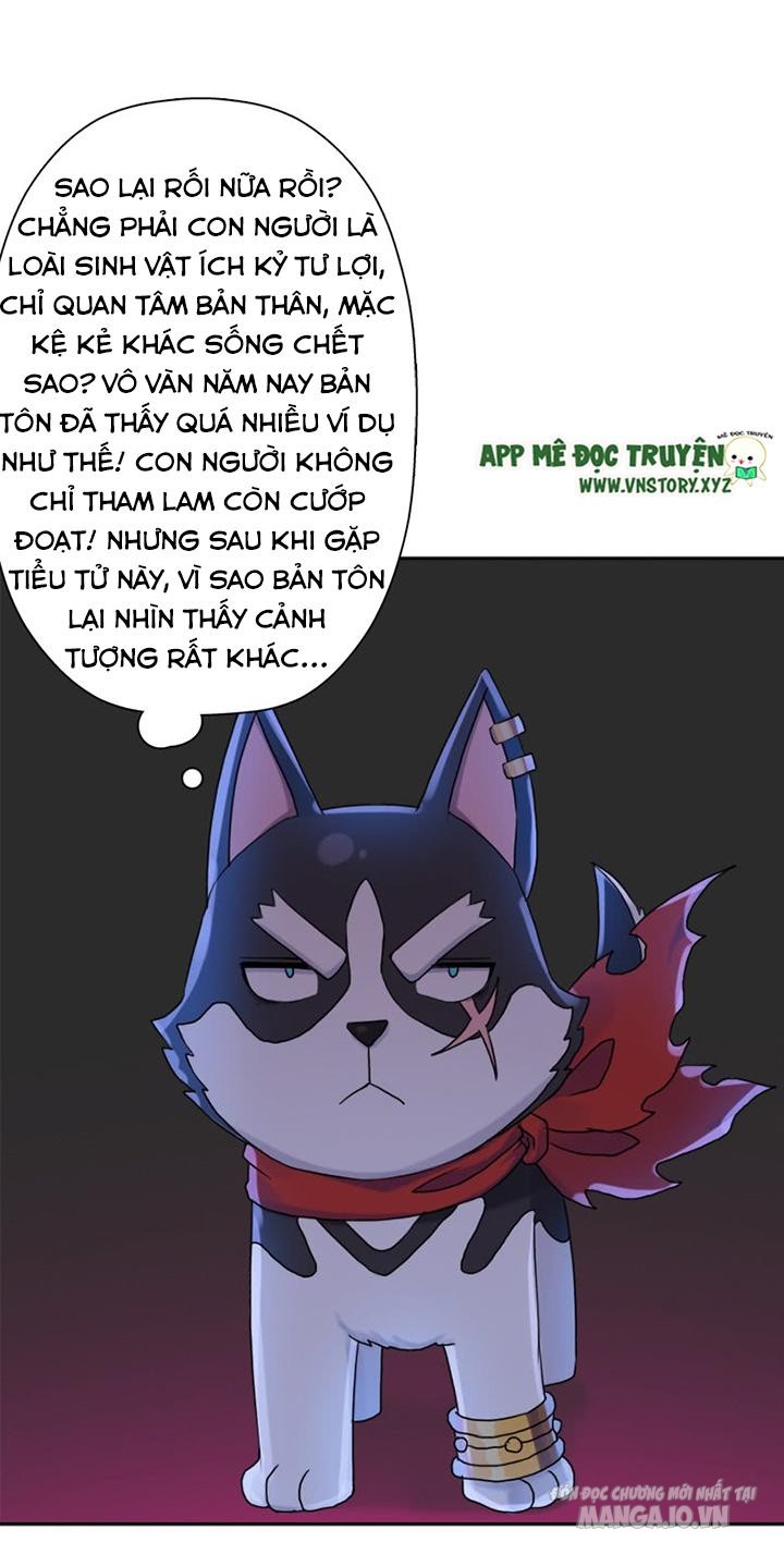 Cứu Thế Giới Đi Ông Chú Chapter 51 - Trang 2