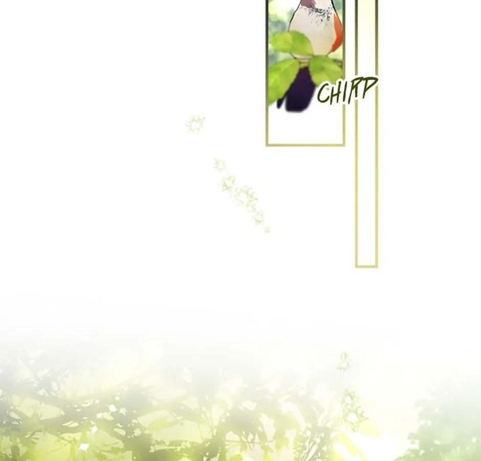 Đã Bảo Nữ Chính Đang Cải Trang Mà Chapter 15 - Trang 2