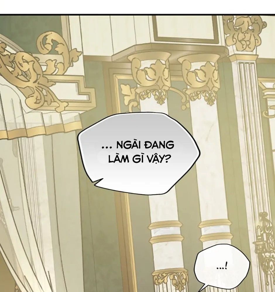 Đã Bảo Nữ Chính Đang Cải Trang Mà Chapter 18 - Trang 2