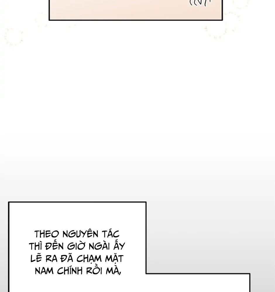 Đã Bảo Nữ Chính Đang Cải Trang Mà Chapter 29 - Trang 2