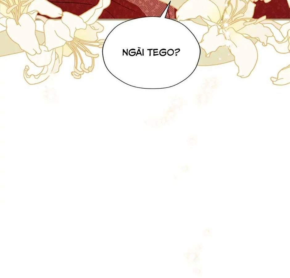 Đã Bảo Nữ Chính Đang Cải Trang Mà Chapter 34 - Trang 2