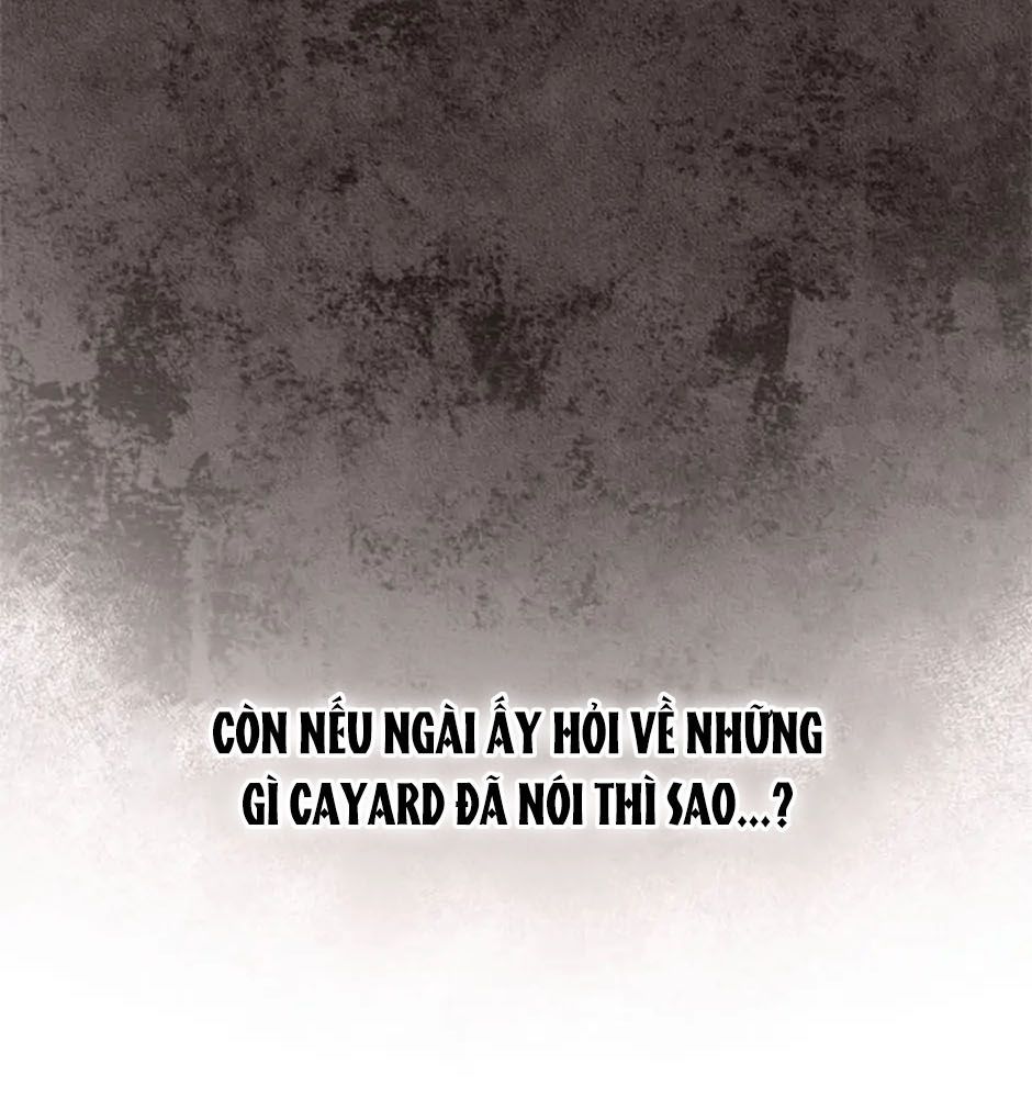Đã Bảo Nữ Chính Đang Cải Trang Mà Chapter 38 - Trang 2