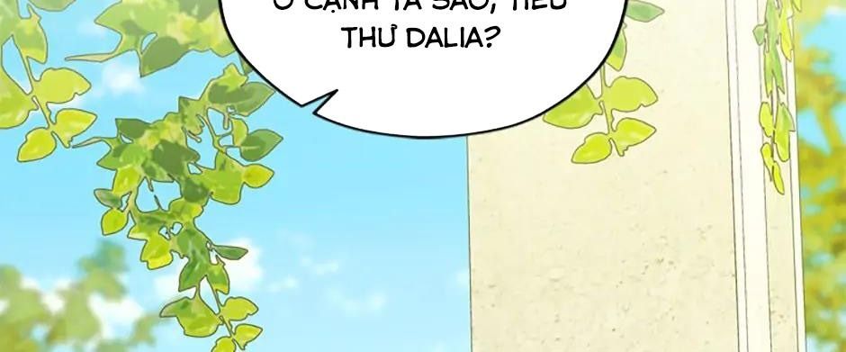 Đã Bảo Nữ Chính Đang Cải Trang Mà Chapter 40 - Trang 2