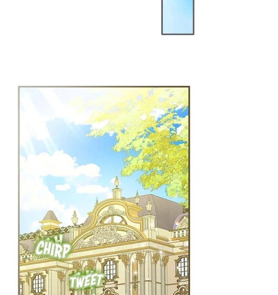 Đã Bảo Nữ Chính Đang Cải Trang Mà Chapter 41 - Trang 2