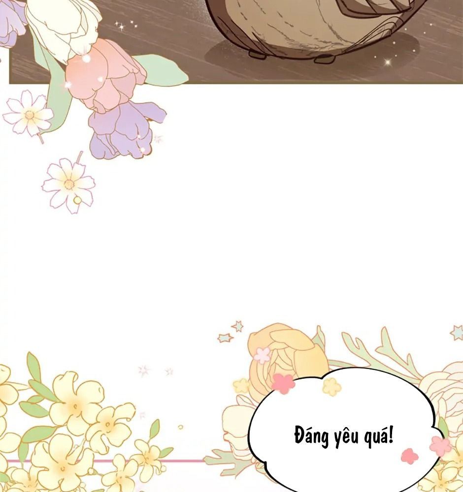 Đã Bảo Nữ Chính Đang Cải Trang Mà Chapter 8 - Trang 2
