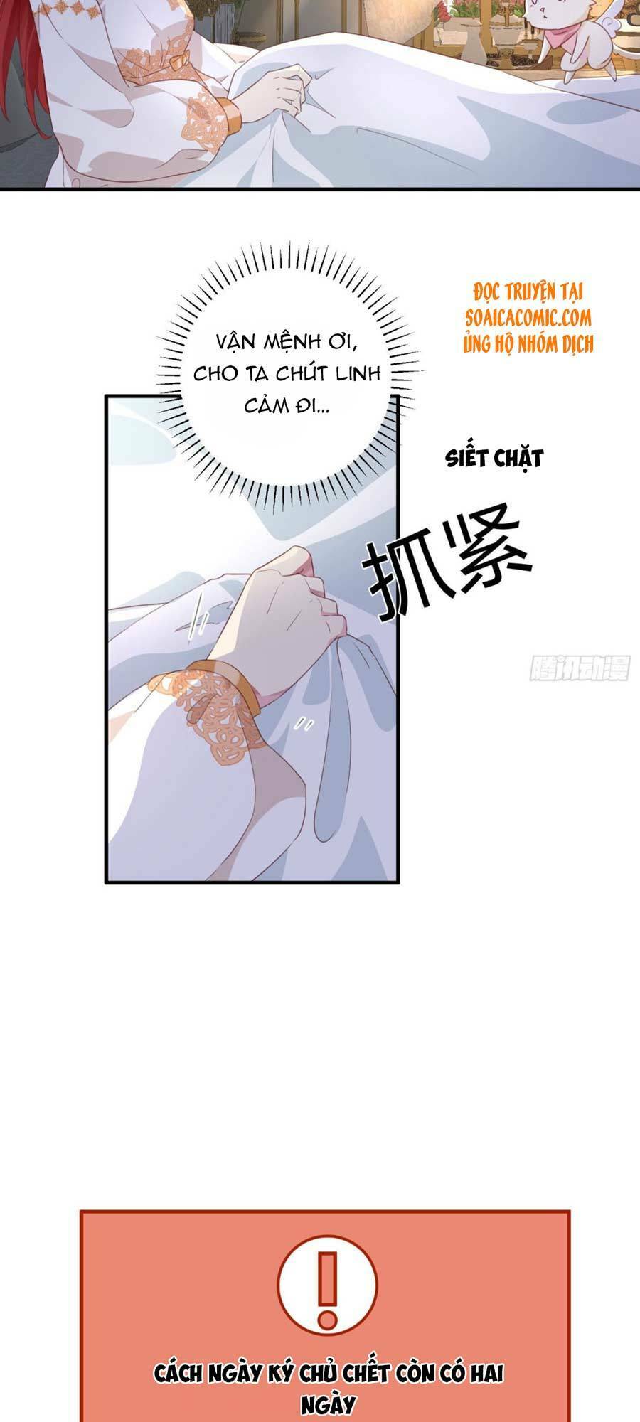 Dã Nam Nhân Đều Muốn Gả Cho Ta Chapter 15 - Trang 2