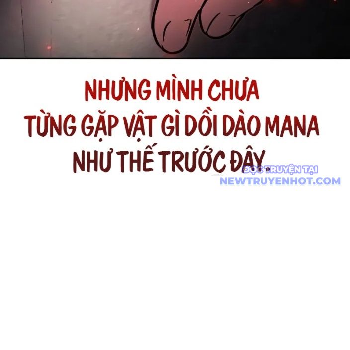 Đa Sắc Ma Pháp Sư Thiên Tài Chapter 11 - Trang 2