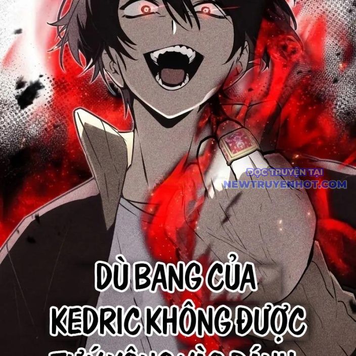 Đa Sắc Ma Pháp Sư Thiên Tài Chapter 12 - Trang 2