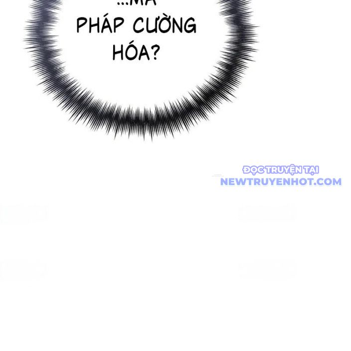 Đa Sắc Ma Pháp Sư Thiên Tài Chapter 12 - Trang 2