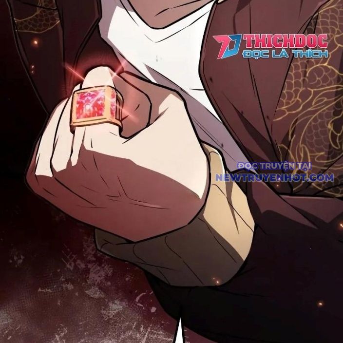 Đa Sắc Ma Pháp Sư Thiên Tài Chapter 12 - Trang 2