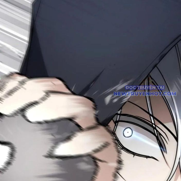 Đa Sắc Ma Pháp Sư Thiên Tài Chapter 12 - Trang 2