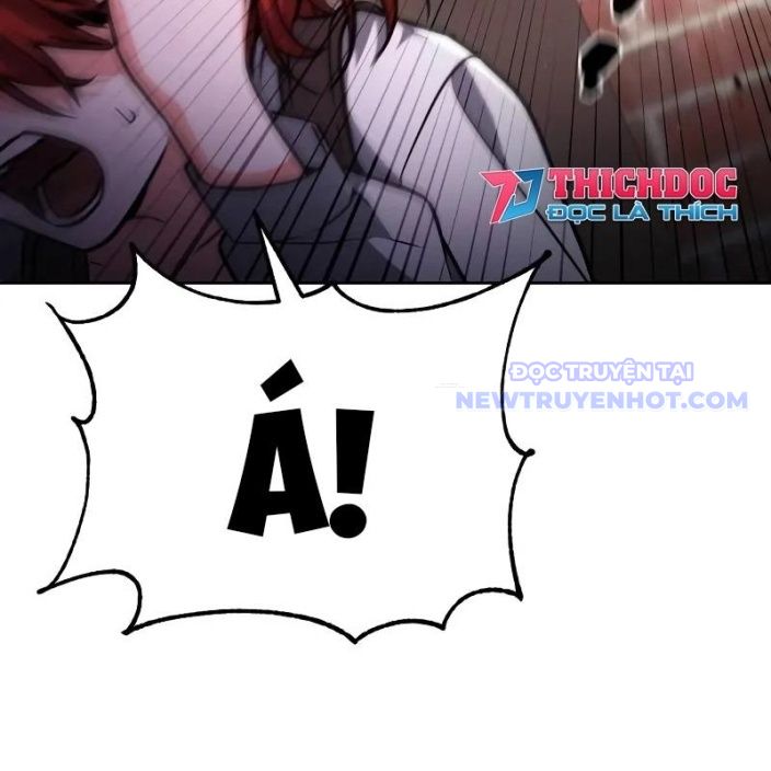 Đa Sắc Ma Pháp Sư Thiên Tài Chapter 14 - Trang 2