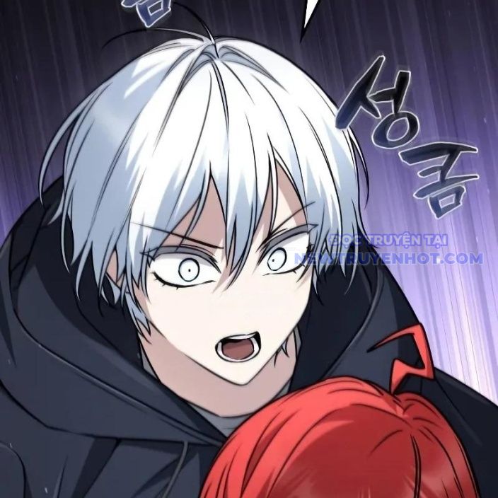 Đa Sắc Ma Pháp Sư Thiên Tài Chapter 15 - Trang 2