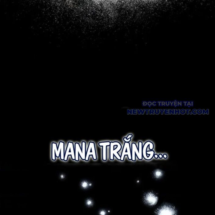 Đa Sắc Ma Pháp Sư Thiên Tài Chapter 15 - Trang 2