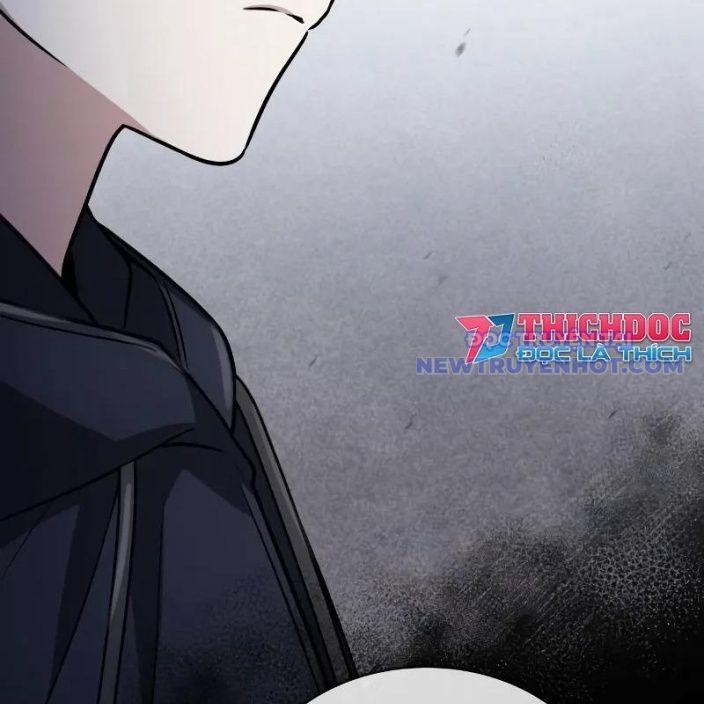 Đa Sắc Ma Pháp Sư Thiên Tài Chapter 15 - Trang 2