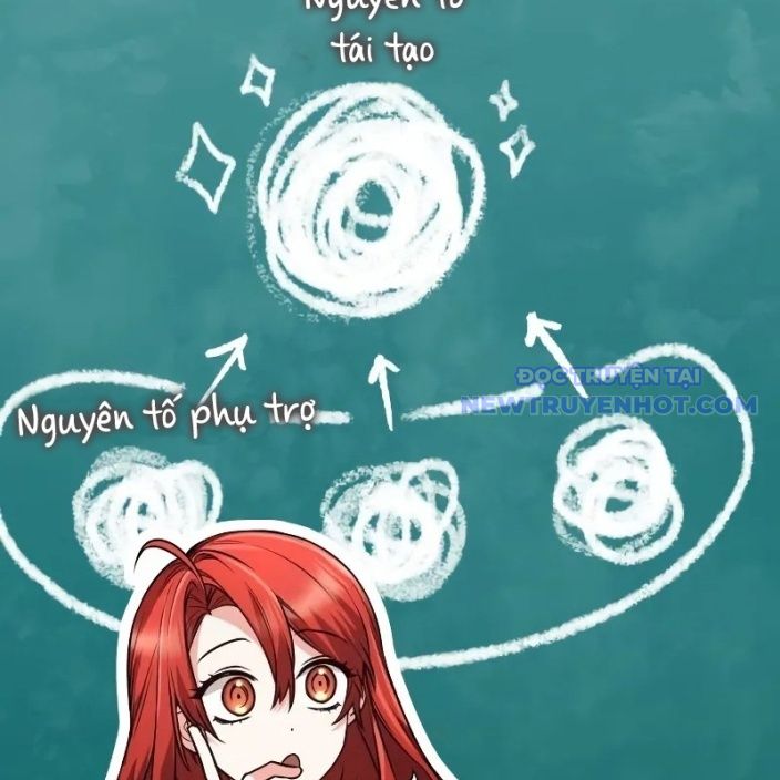 Đa Sắc Ma Pháp Sư Thiên Tài Chapter 15 - Trang 2