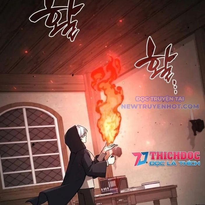 Đa Sắc Ma Pháp Sư Thiên Tài Chapter 16 - Trang 2