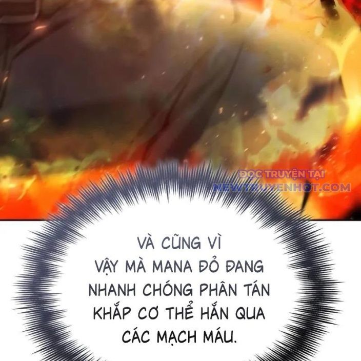 Đa Sắc Ma Pháp Sư Thiên Tài Chapter 17 - Trang 2