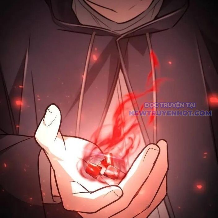 Đa Sắc Ma Pháp Sư Thiên Tài Chapter 17 - Trang 2