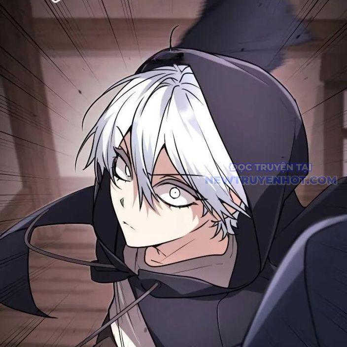 Đa Sắc Ma Pháp Sư Thiên Tài Chapter 17 - Trang 2