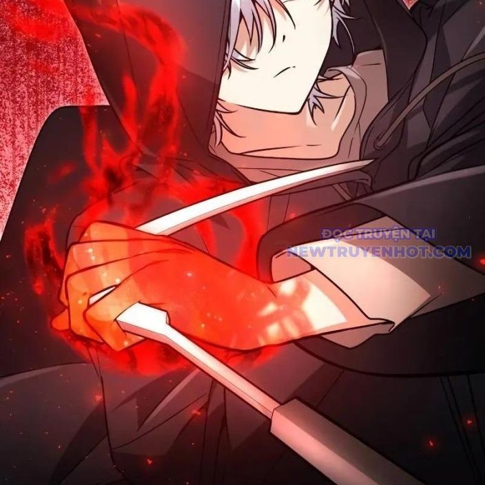 Đa Sắc Ma Pháp Sư Thiên Tài Chapter 17 - Trang 2