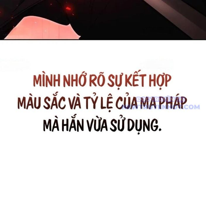 Đa Sắc Ma Pháp Sư Thiên Tài Chapter 17 - Trang 2