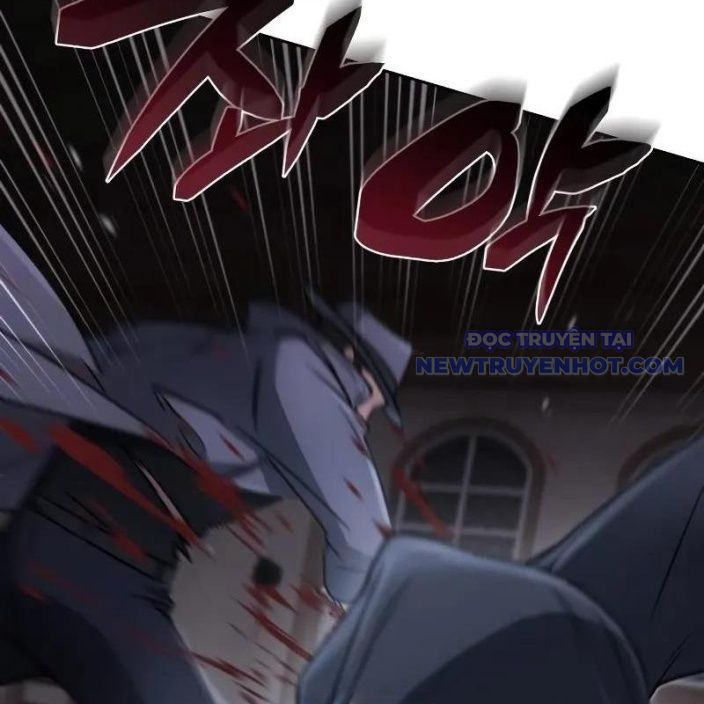 Đa Sắc Ma Pháp Sư Thiên Tài Chapter 17 - Trang 2