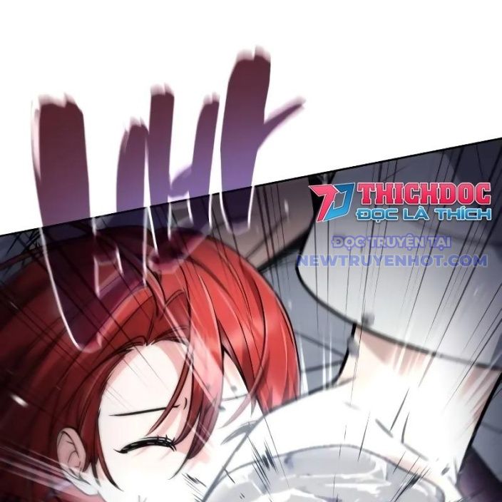 Đa Sắc Ma Pháp Sư Thiên Tài Chapter 19 - Trang 2