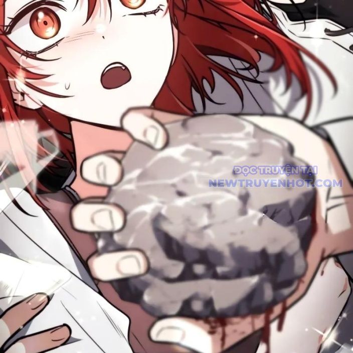 Đa Sắc Ma Pháp Sư Thiên Tài Chapter 19 - Trang 2