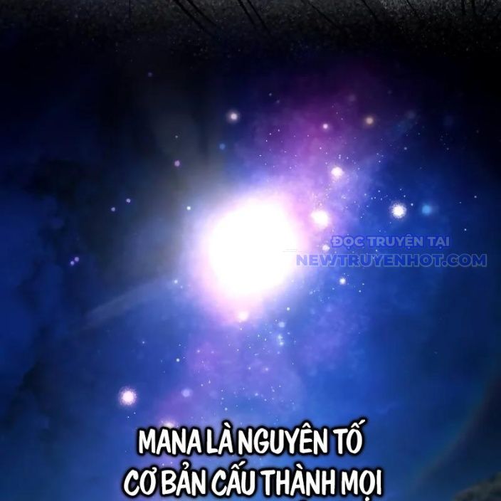 Đa Sắc Ma Pháp Sư Thiên Tài Chapter 19 - Trang 2