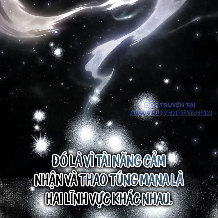 Đa Sắc Ma Pháp Sư Thiên Tài Chapter 19 - Trang 2