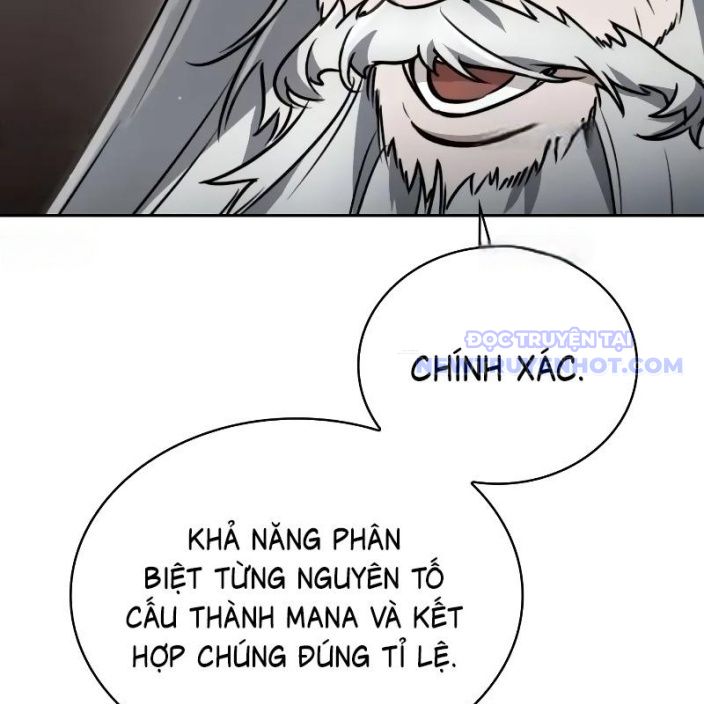 Đa Sắc Ma Pháp Sư Thiên Tài Chapter 19 - Trang 2