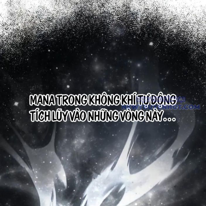 Đa Sắc Ma Pháp Sư Thiên Tài Chapter 19 - Trang 2