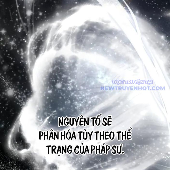 Đa Sắc Ma Pháp Sư Thiên Tài Chapter 19 - Trang 2