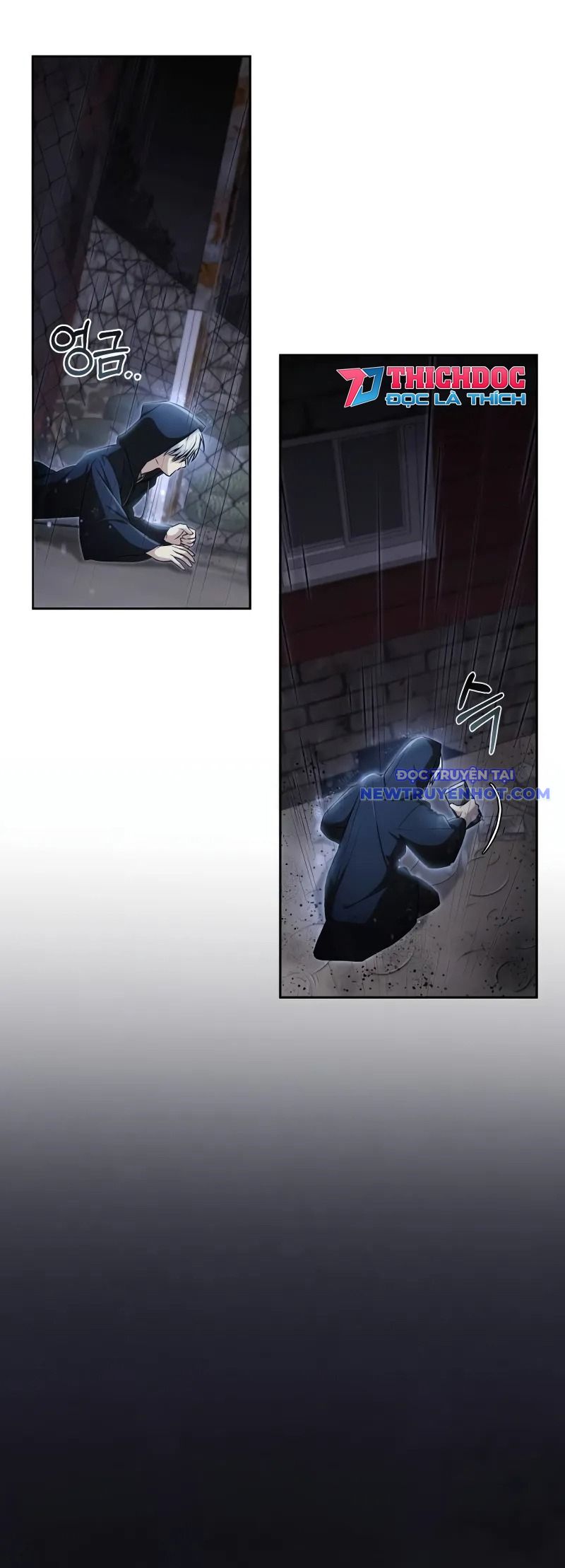 Đa Sắc Ma Pháp Sư Thiên Tài Chapter 2 - Trang 2