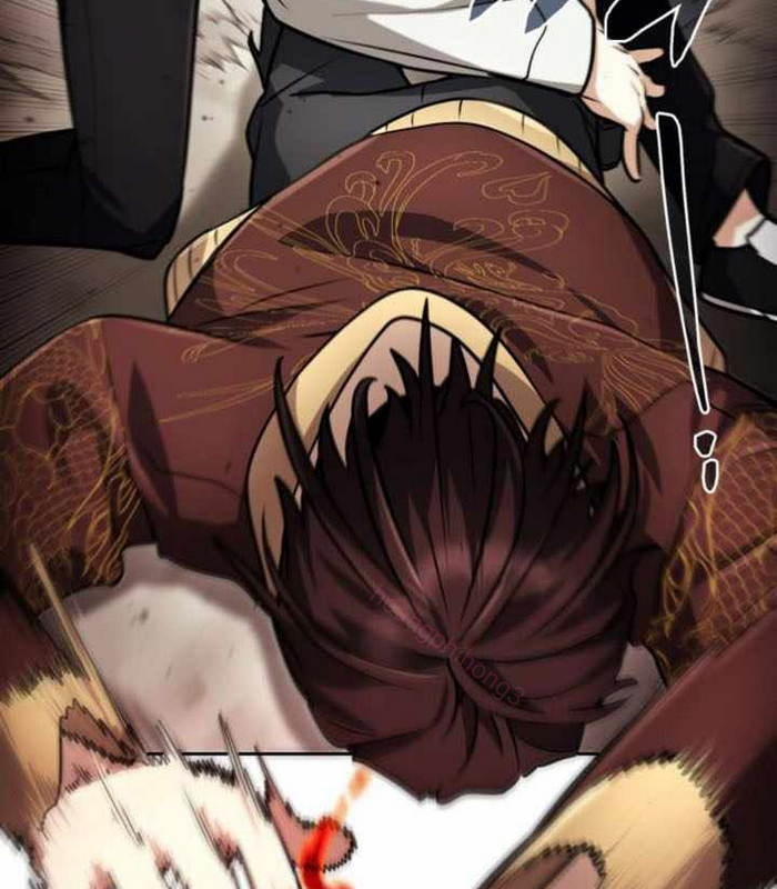 Đa Sắc Ma Pháp Sư Thiên Tài Chapter 24 - Trang 2