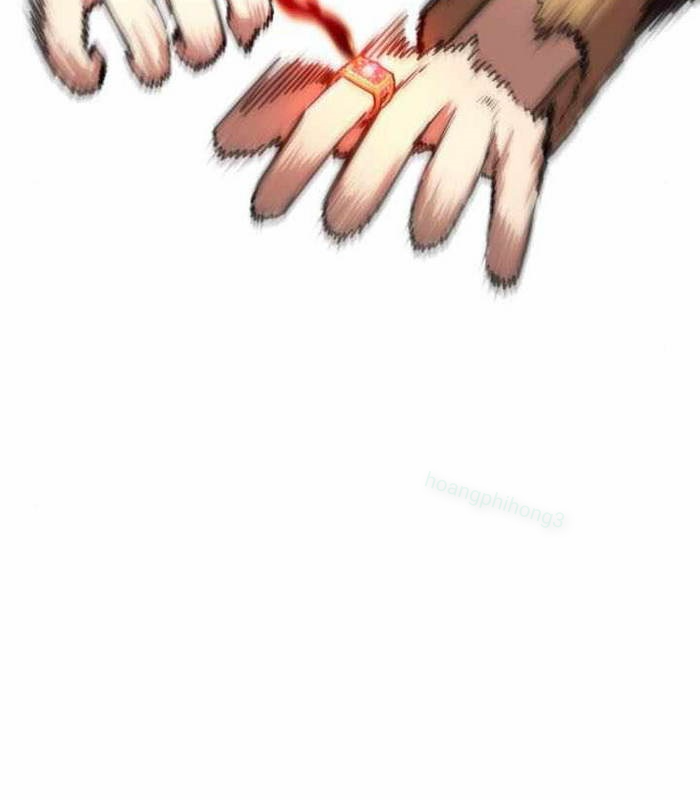 Đa Sắc Ma Pháp Sư Thiên Tài Chapter 24 - Trang 2