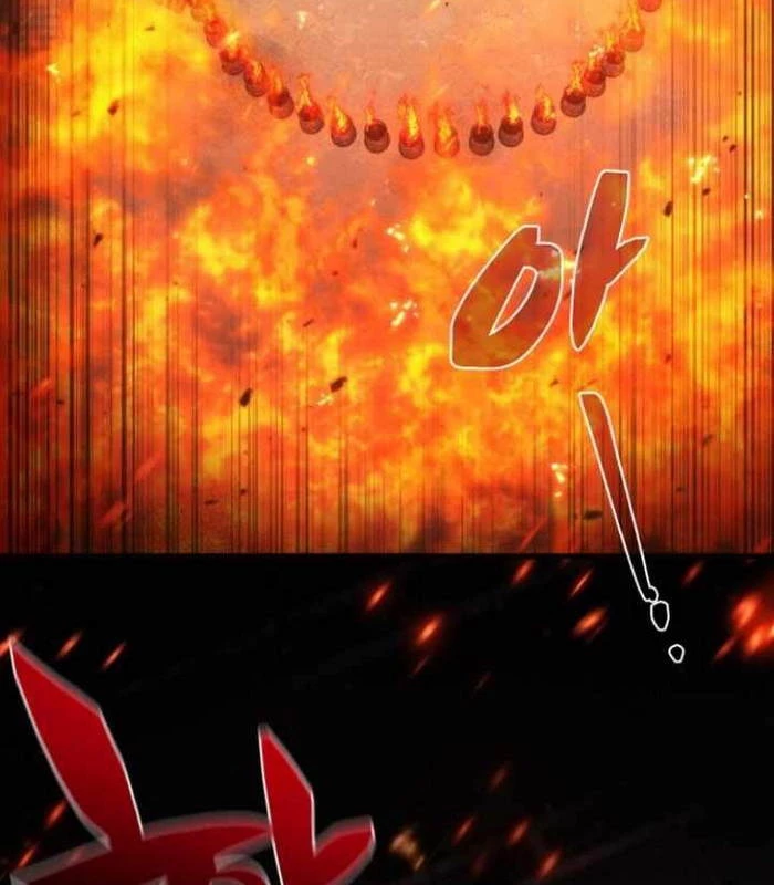 Đa Sắc Ma Pháp Sư Thiên Tài Chapter 25 - Trang 2