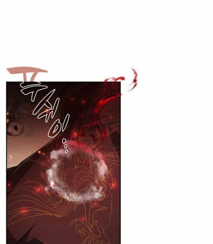 Đa Sắc Ma Pháp Sư Thiên Tài Chapter 25 - Trang 2